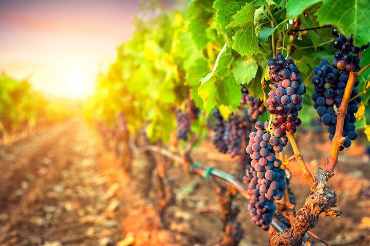 Sunset Sip Wine Tour