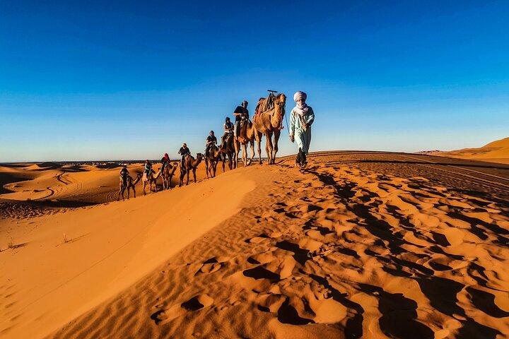 Doha Desert Safari Dune bashing,Sandboarding,CamelRide,Inland Sea