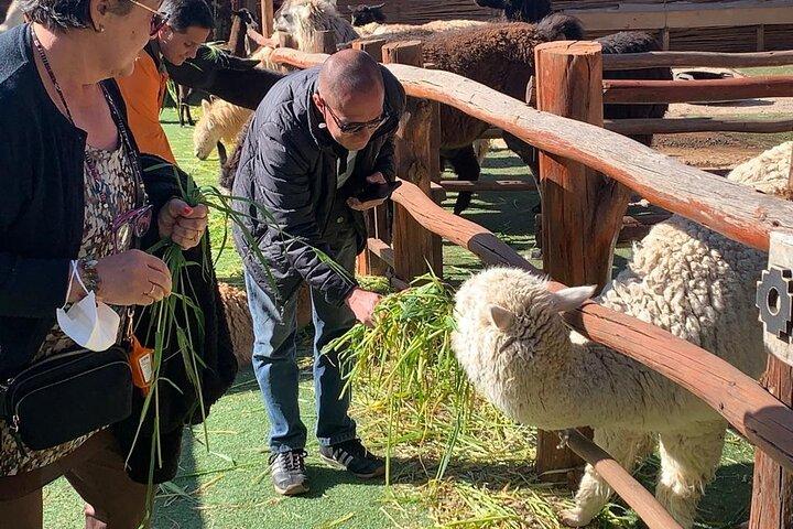 Cusco City Tour