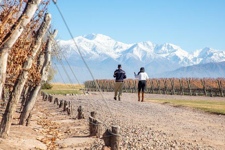 Lujan Deluxe - Full day - Premium Wine Tour with Gourmet Lunch