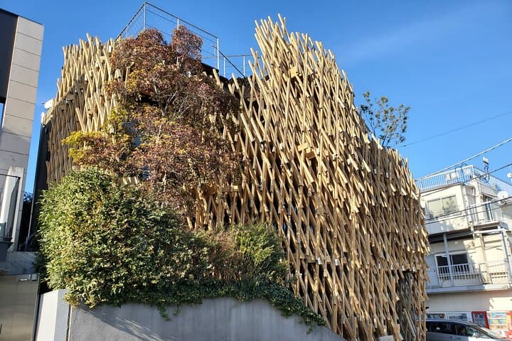 Tokyo Architecture and Contemporary Art Walking Tour with a local guide