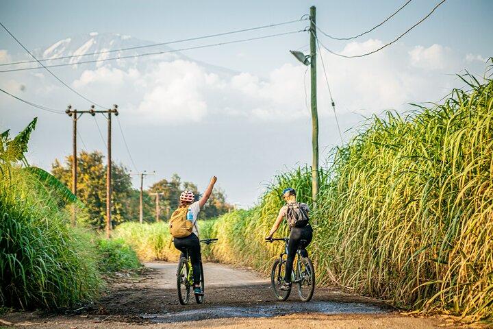 Chemka Hotpsrings E-Bike Day Trip