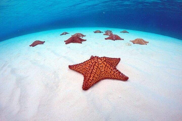 Cozumel El Cielo All Inclusive Tour from Cancun