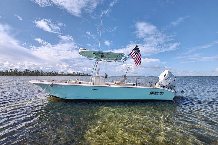 2-Hour Private Sightseeing Dolphin Tour in Panama City Beach
