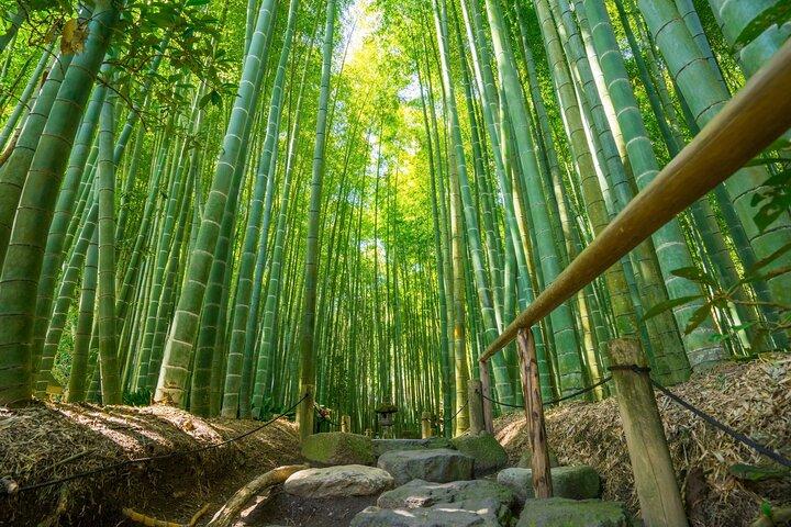 Kamakura Historical and Cultural Day Trip by Private Vehicle