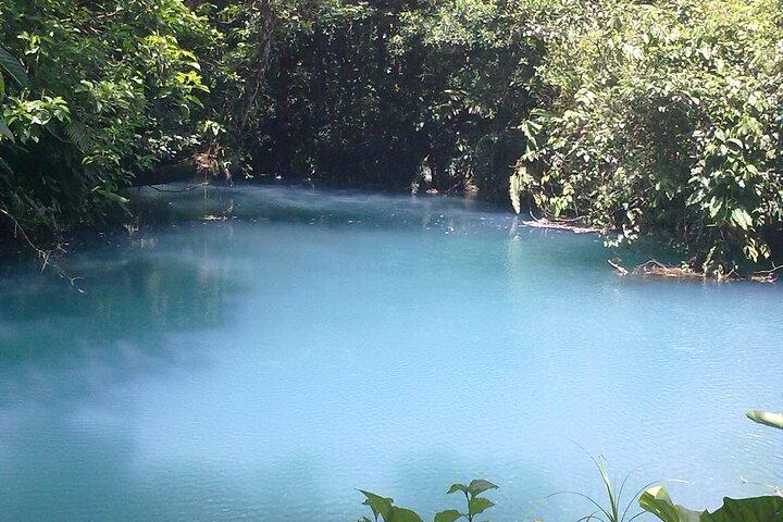 Rio Celeste Waterfall and Sloth Sactuary Full-Day Tour with Lunch