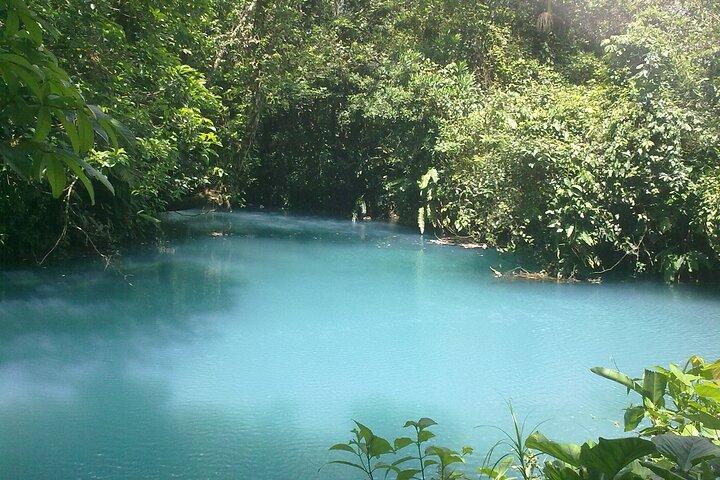 Rio Celeste Waterfall and Sloth Sactuary Full-Day Tour with Lunch