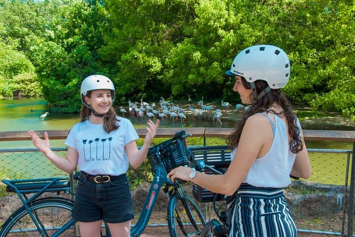 E-bike Tour by ComhiC - Tête d'Or Park - 2h