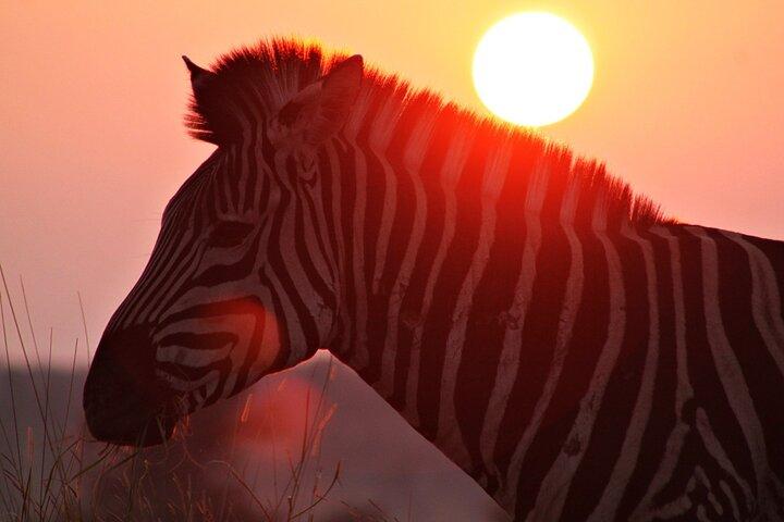 3 Day Kruger National Park tour