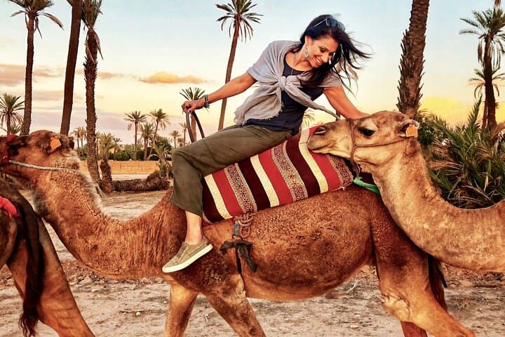 Marrakech Camel Ride