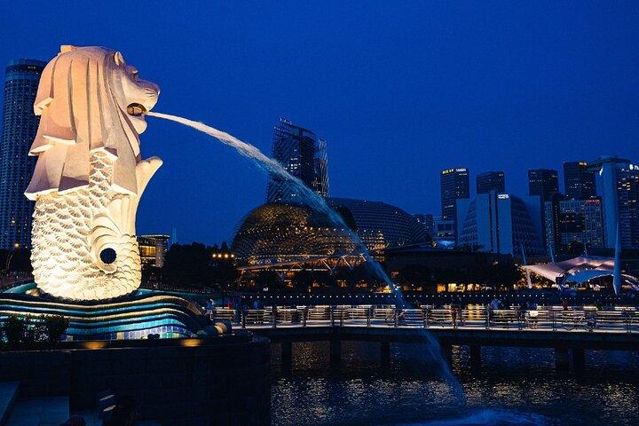 Singapore City Lights 1Hour Open Top Night Tour