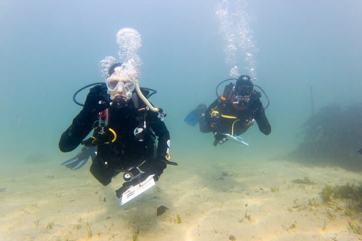 Cape Town Seal Snorkelling, Penguin Colony & Cape of Good Hope Private Tour
