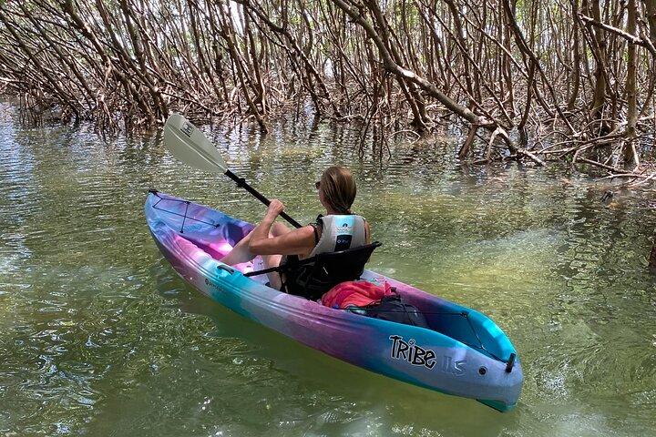 Small Group Kayak Tour of the Shell Key Preserve