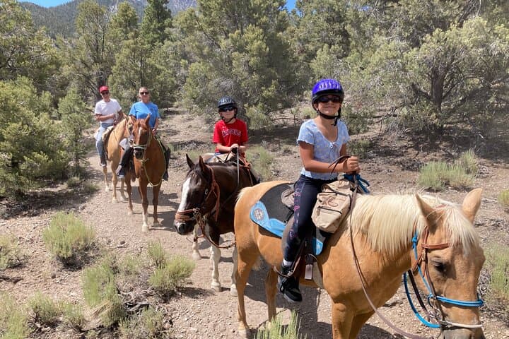 Las Vegas Horseback Riding Adventure