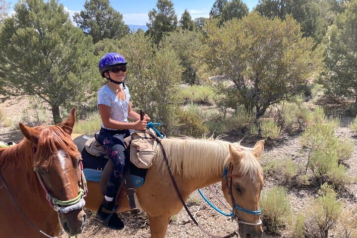 Las Vegas Horseback Riding Adventure
