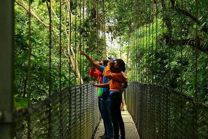 Hanging Bridges, Arenal Volcano, Waterfall, Hot Springs Full day