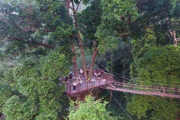 Zipline Ride on Koh Samui