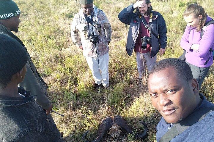 Kruger National Park Morning Walk minimum 4people