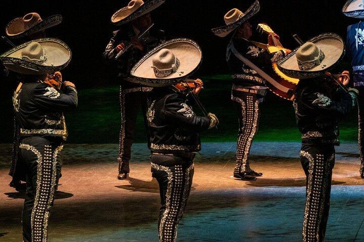 Park Xcaret Plus with Transportation from Cancun and Riviera Maya