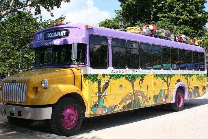 Park Xcaret Plus with Transportation from Cancun and Riviera Maya