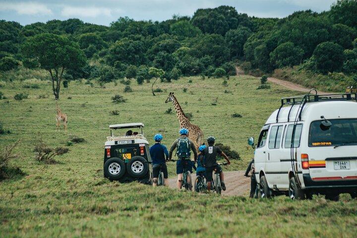 Arusha National Park E-Bike Safari Day trip