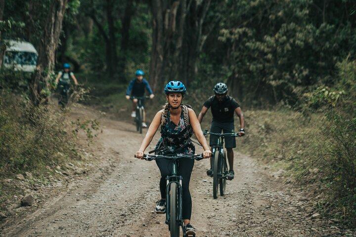 Arusha National Park E-Bike Safari Day trip