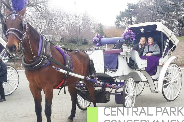 Carriage Ride in Central Park (VIP - PRIVATE) Since 1964™