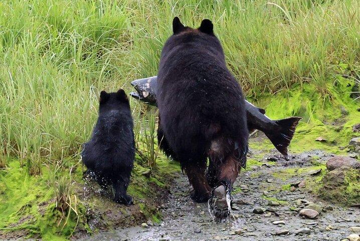 3hr Private Custom Excursion in Ketchikan for up to 14 people