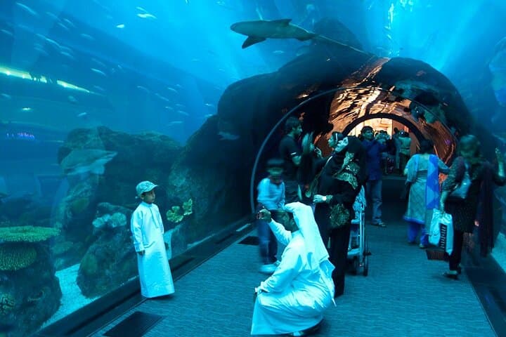 Burj Khalifa and Dubai Aquarium Tickets