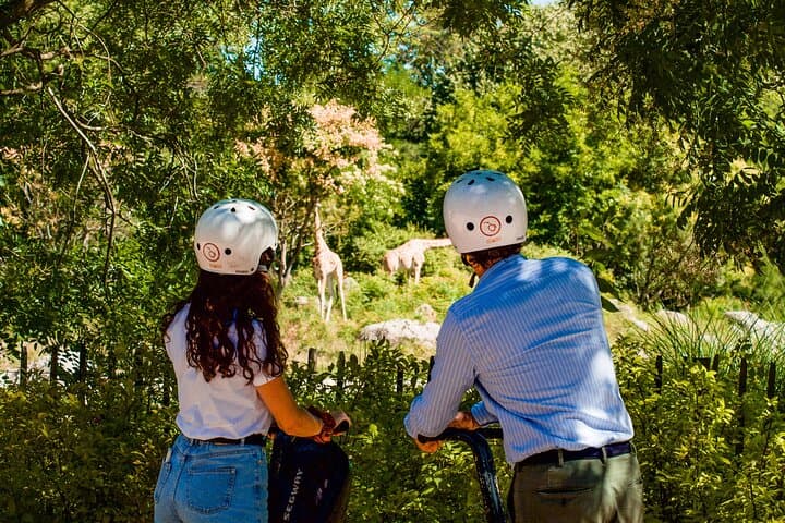 Segway Tour by ComhiC - Tête d'Or Park - 2h