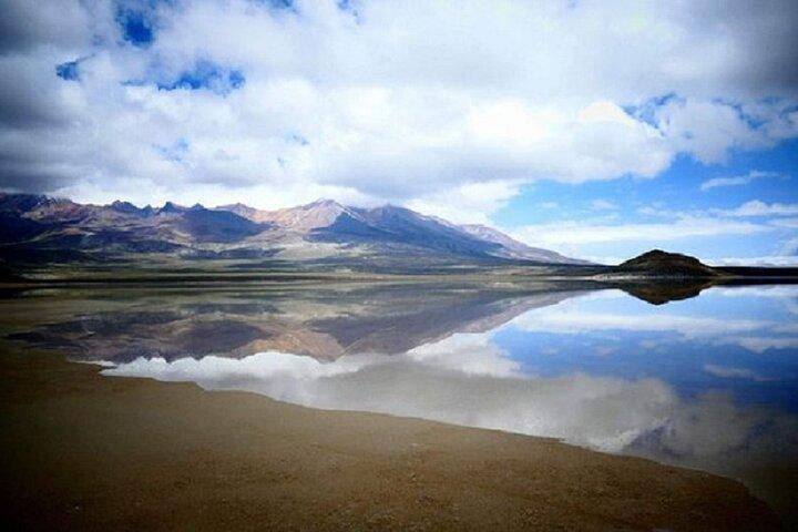 8-Hours Tour in Arequipa Laguna de Salinas with Pick-up