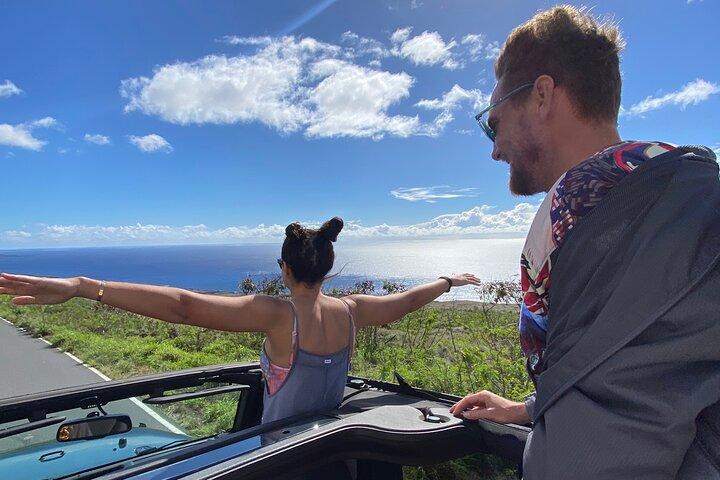 Private Road to Hana Tour Black Sand Beach/Waterfalls/Sea Turtles