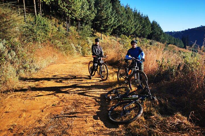 Private Cycling The Cradle of Humankind in Game Reserve