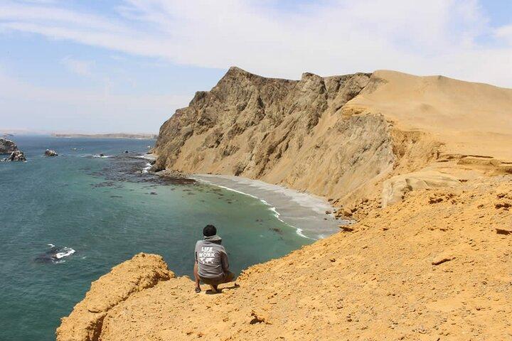 7-Hours Tour in Paracas National Reserve with Pickup