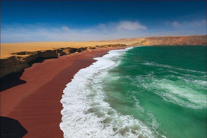 7-Hours Tour in Paracas National Reserve with Pickup