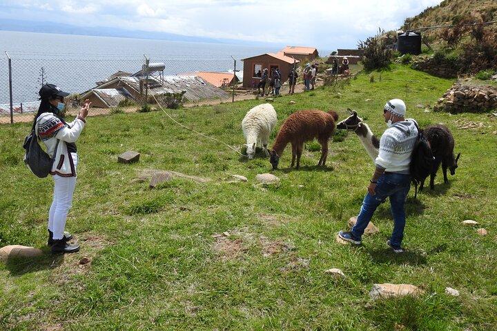 Titicaca Lake & Sun Island – 2 Days Tour – English Speaking Guide