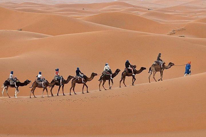Luxury Sahara Desert From Fez back to fez or marrakech overnight
