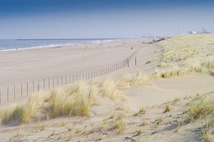 Private Tour of The Hague from Amsterdam with Hotel pick up