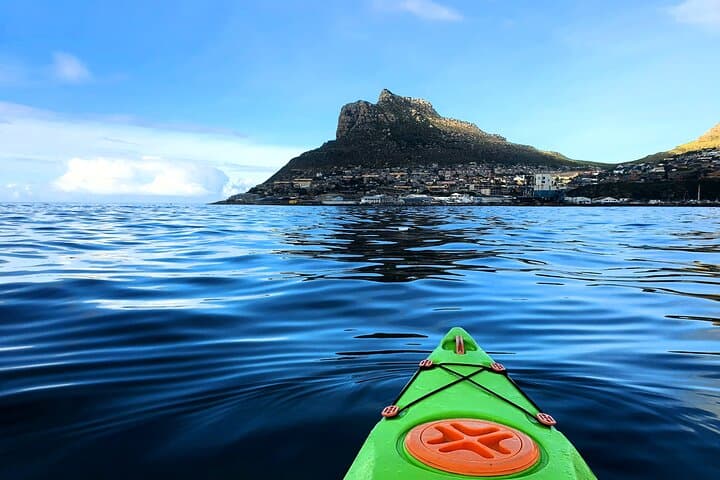Guided Kayaking in Hout Bay