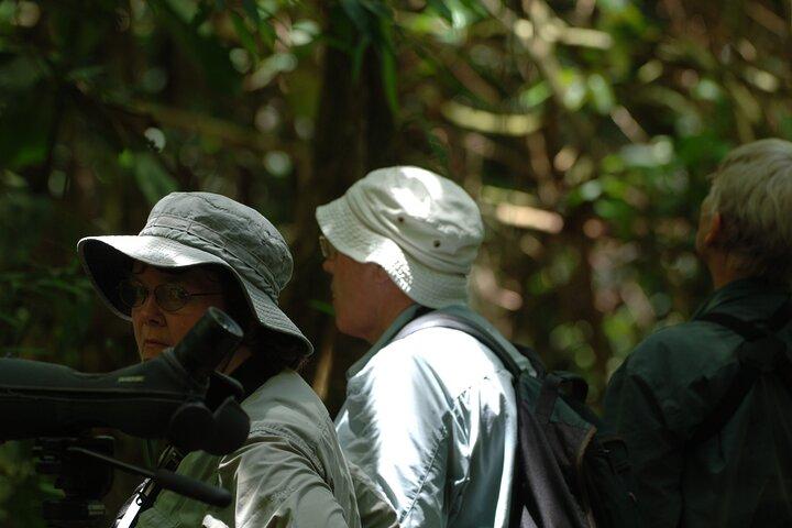 Amazon Jungle Tour 3 days