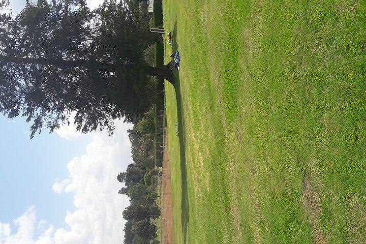 Kiambethu Tea Farm