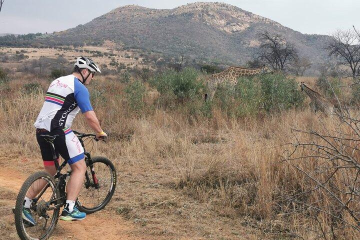 Private Cycling The Cradle of Humankind in Game Reserve