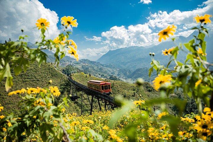 Amazing Sapa Fansipan Cable Car or Trekking: Majestic from Sapa