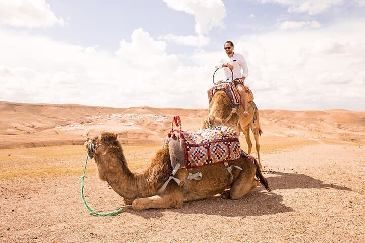 Tour Camel Ride Agafay with Pickup