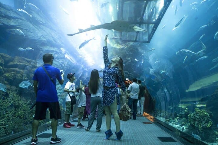 Burj Khalifa and Dubai Aquarium Tickets