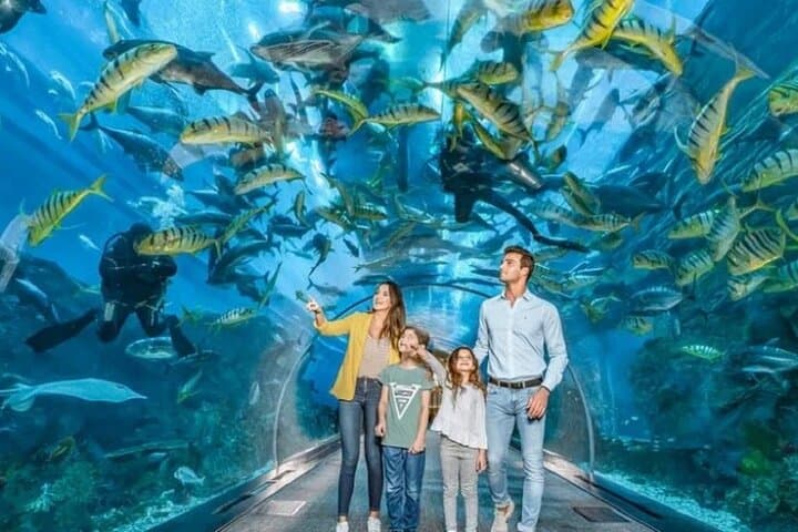 Burj Khalifa and Dubai Aquarium Tickets