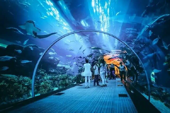 Burj Khalifa and Dubai Aquarium Tickets