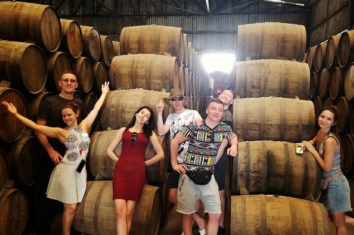 Private Tour of Magic Town Tequila Adventure Day Tour