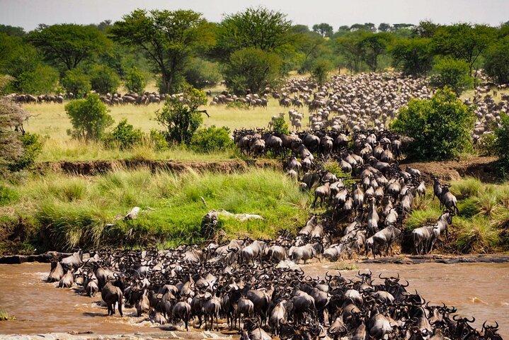 5-Days Private Safari in Tanzania with Pick Up