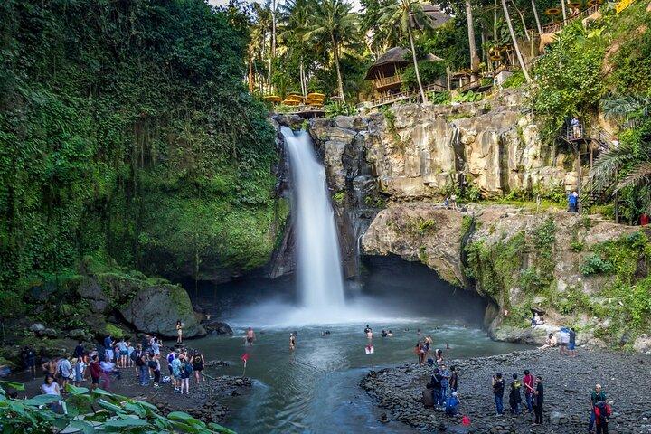 Private 1-Day Ubud Highlights Tour